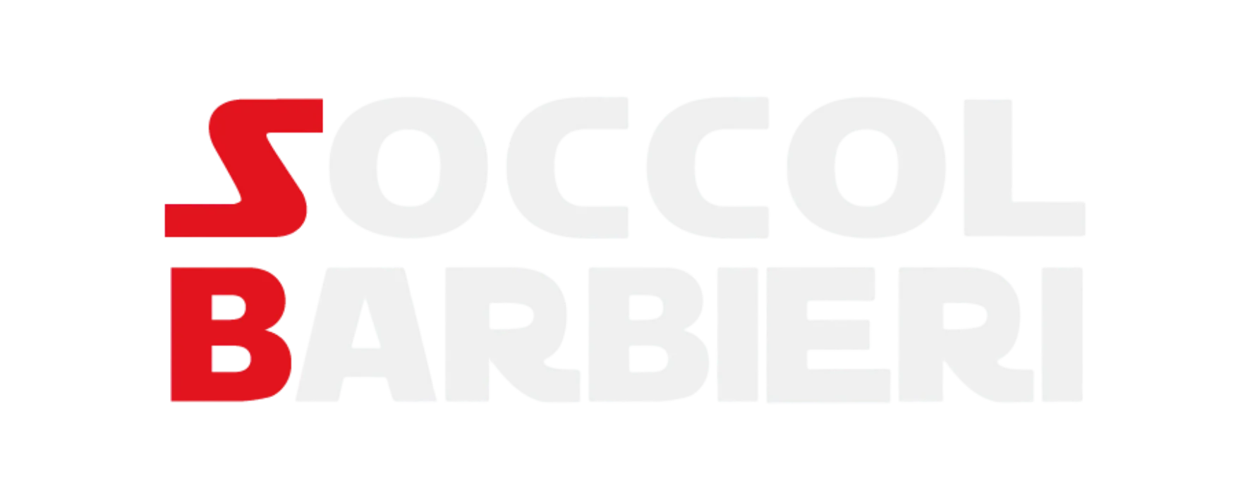 Distribuidora de Autopeças | Soccol Barbieri