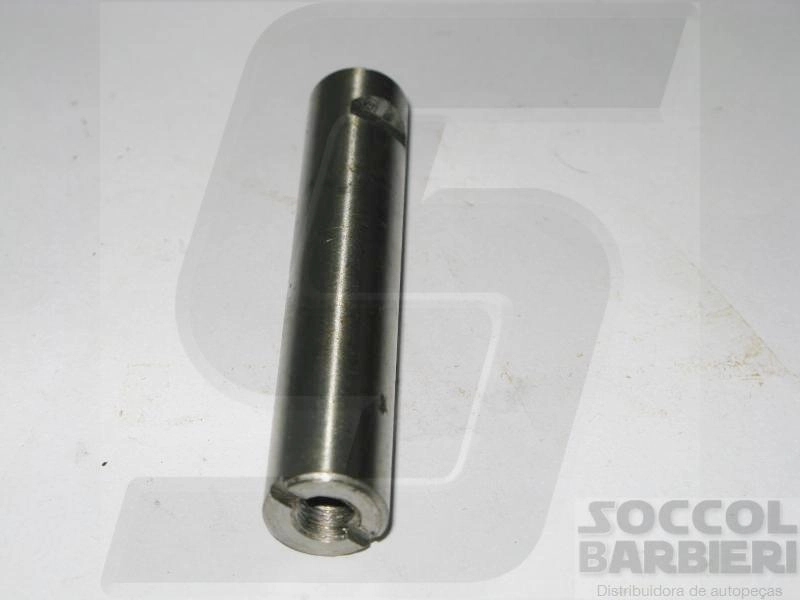 PINO MOLA FORD F-100 /67 - TRASEIRO