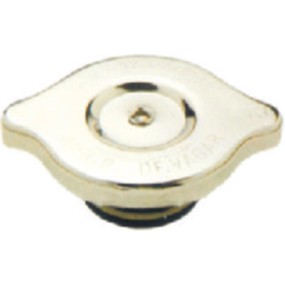 TAMPA RADIADOR FORD CARGO /2000 - VW CAMINHOES - C/RES. TRASEIRO TAMPA LATERAL