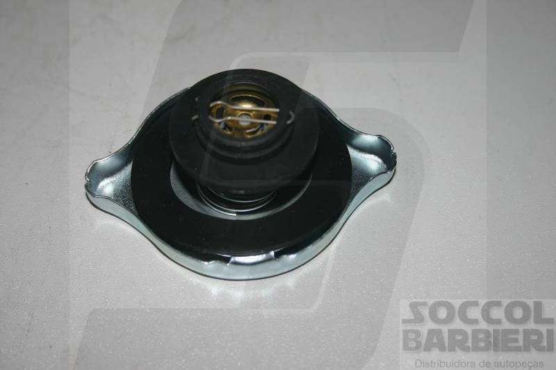 TAMPA RADIADOR VW PASSAT/GOL/VOYAGE/PARATI /86