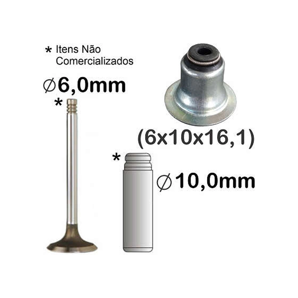 RETENTOR HASTE VÁLVULAS GM CAPTIVA/MALIBU 2.4 16V 08/17 - CITROEN C4/C5/C8/XANTIA/XSARA 1.8/2.0