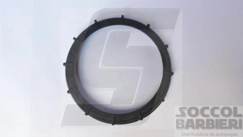 PORCA DO FLANGE COMBUSTIVEL PEUGEOT TODOS