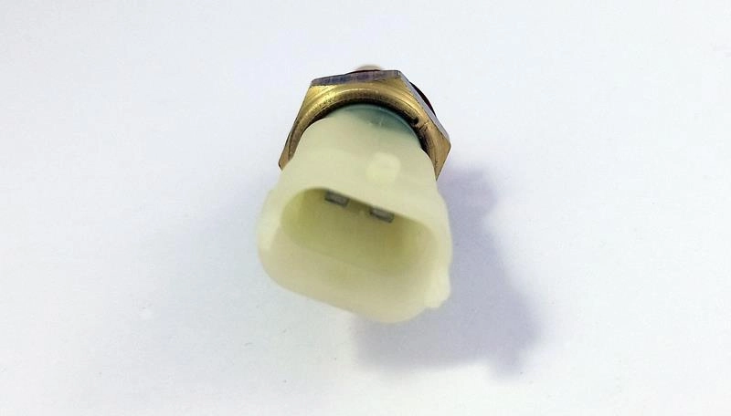 PLUG ELETRONICO GM CORSA 94/96 KADETT/IPANEMA /97 OMEGA 05/07 VECTRA 97/04 TIGRA /99