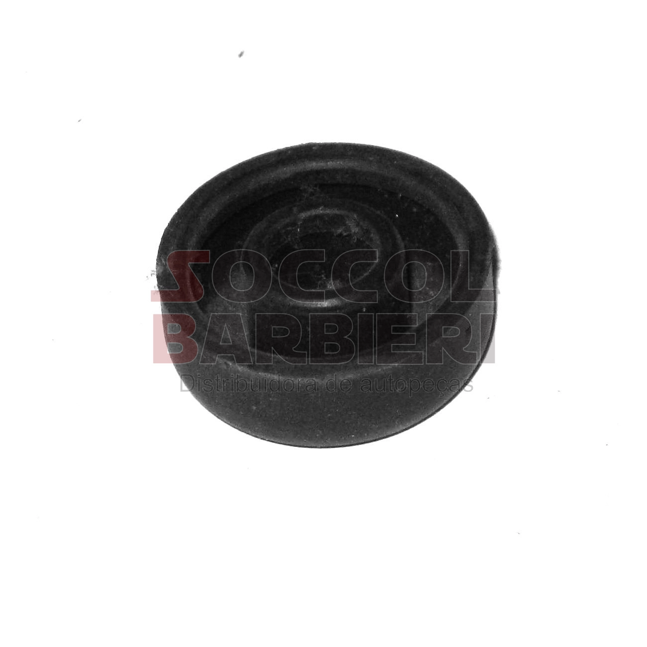 TAPA-PÓ CILINDRO RODA TRASEIRO TAPA-PO FIAT FIORINO 94/ MAREA/STRADA/TEMPRA VW LOGUS VARGA