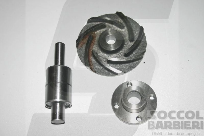 REPARO BOMBA AGUA MWM TODOS TURBO