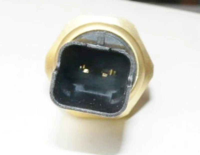 INTERRUPTOR DE LUZ DE RE - PEUGEOT 206 1.0