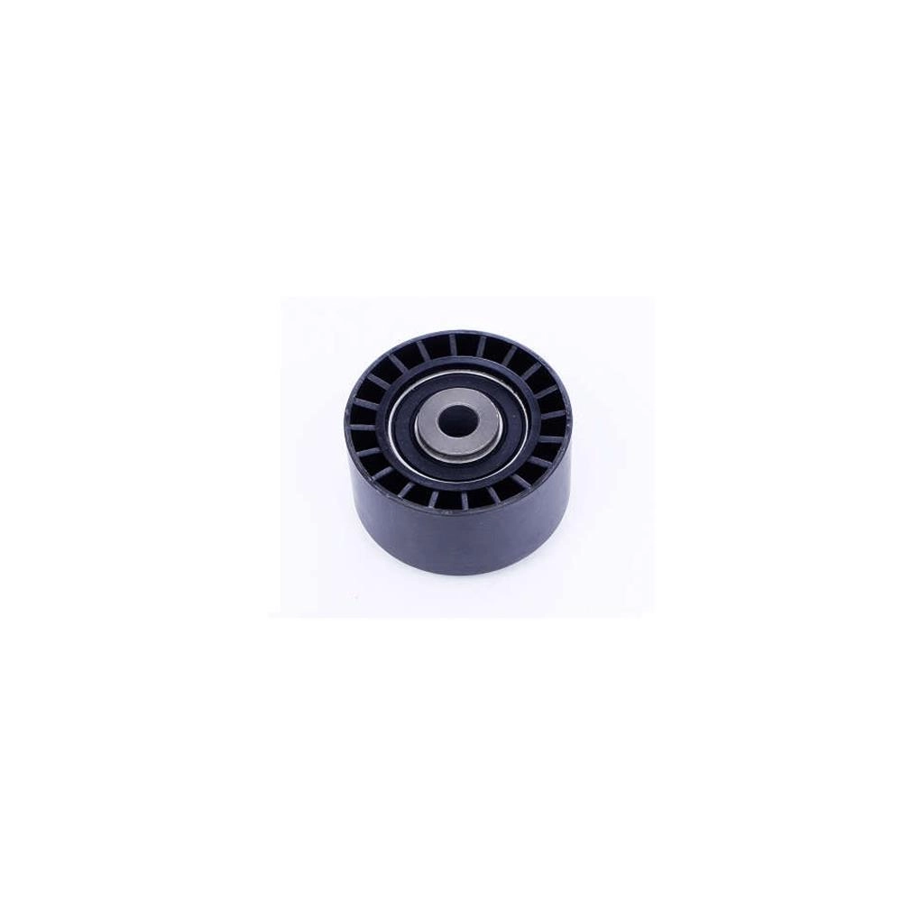POLIA AUXILIAR CORREIA COMANDO PEUGEOT 307/406 2.0 16V - EW10 - 10.30X60.00X31.00MM