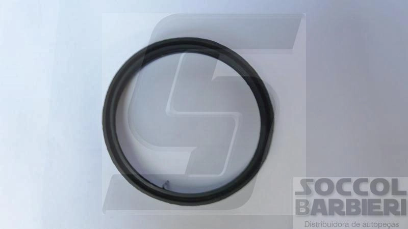 ANEL/GUARNIÇÃO DO FLANGE DA BOMBA DE COMBUSTÍVEL VW GOL/PARATI/LOGUS
