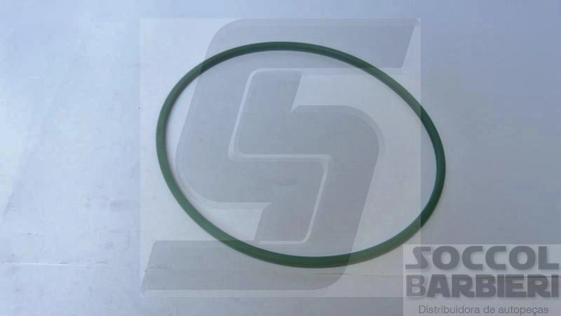 GUARNICAO BOMBA INJECAO ELETRONICA PEUGEOT 307 - FLEX