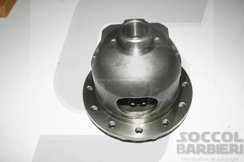 CAIXA SATÉLITE COMPLETA EIXO DANA 267 TRAÇÃO SIMPLES SATELITE FORD F-250 99/07 F-350 99/15 IVECO 70 9/10/11X41