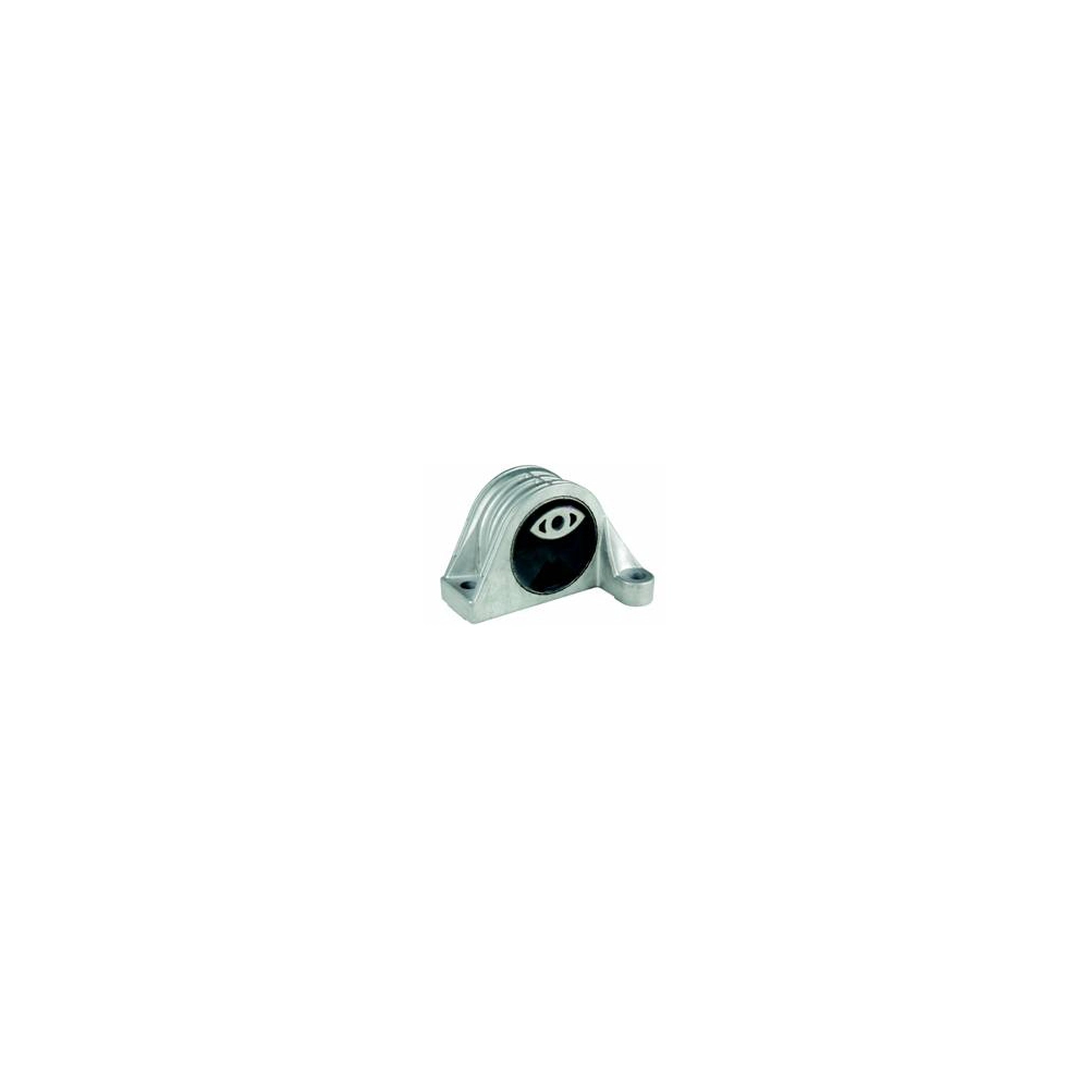 COXIM DO MOTOR DIREITO FIAT DUCATO 2.8 2006/2017