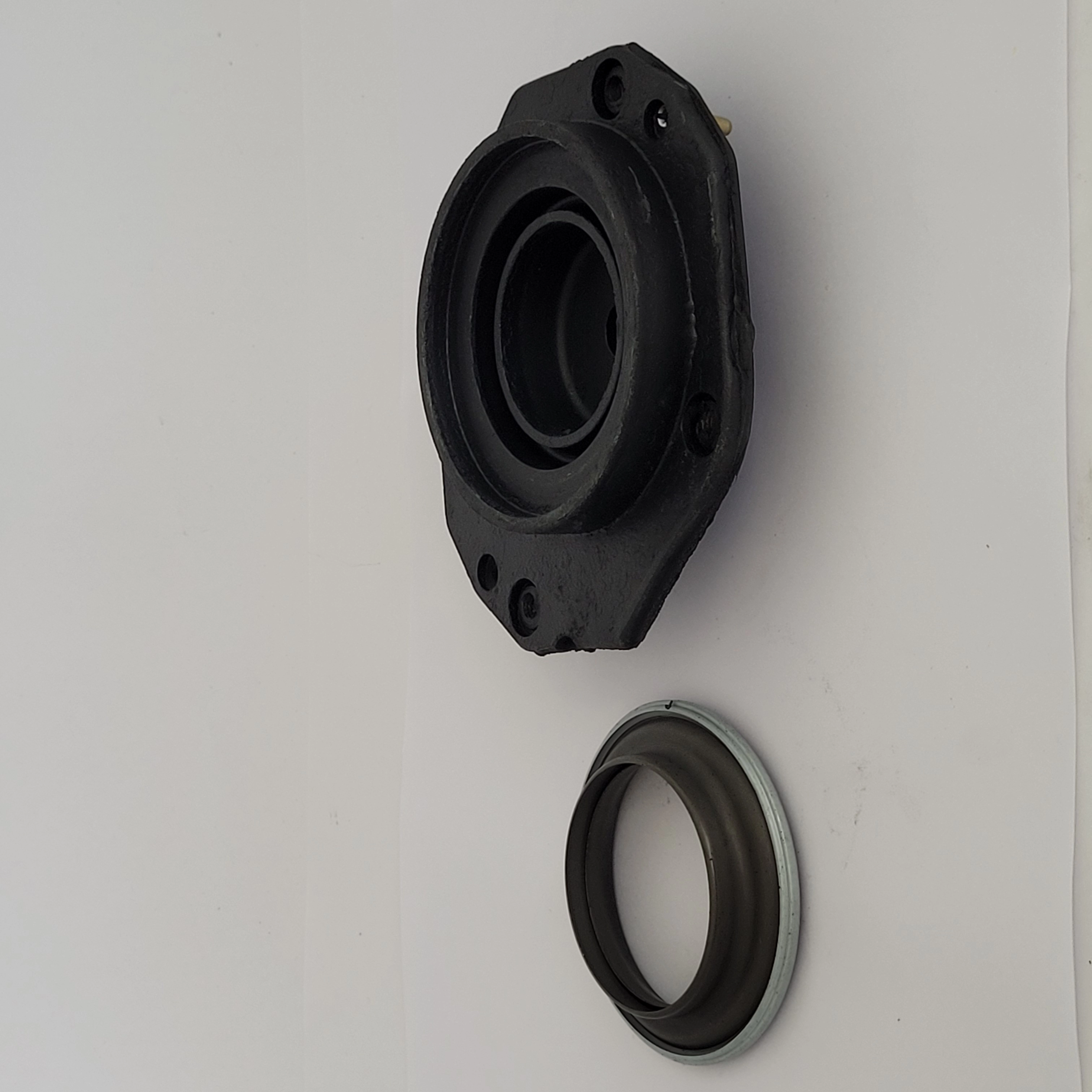 COXIM AMORTECEDOR DIANTEIRO COM ROLAMENTO CITROEN BERLINGO 98/07 - XSARA PICASSO 08/13