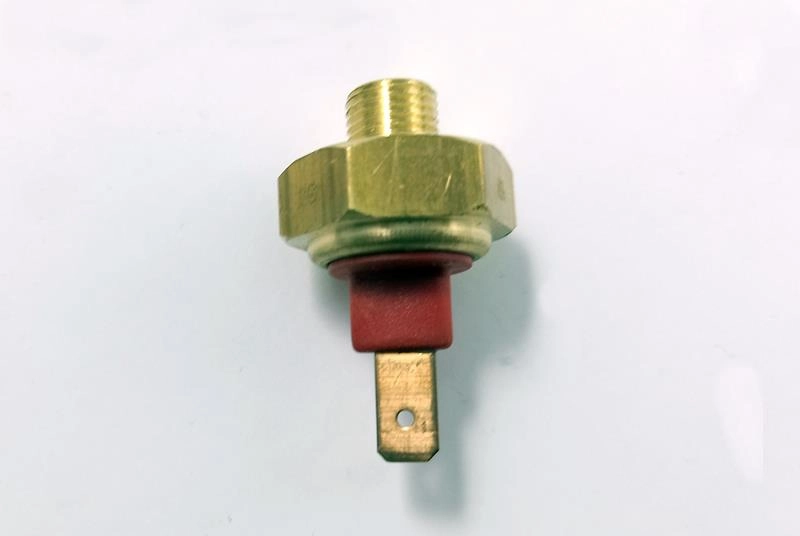INTERRUPTOR TÉRMICO PARA PARTIDA A QUENTE FORD TODOS C/INJECAO ELETRONICA