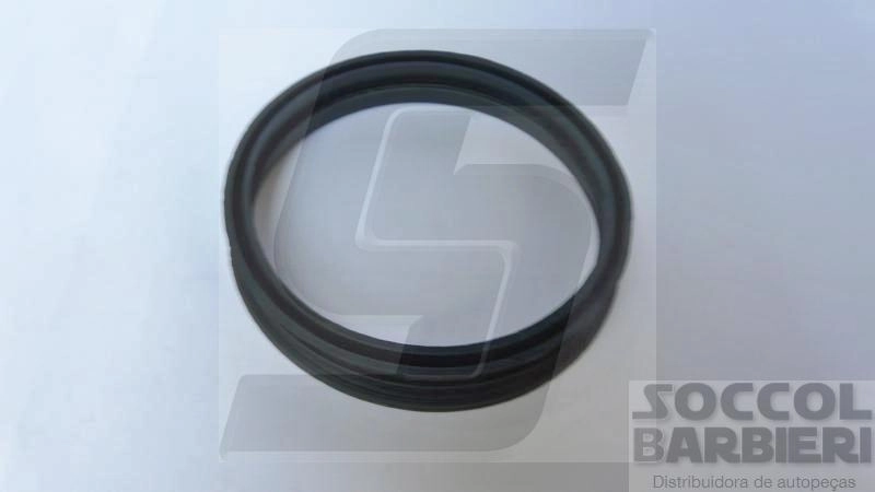 ANEL/GUARNIÇÃO DO FLANGE DA BOMBA DE COMBUSTÍVEL VW GOL/PARATI/LOGUS