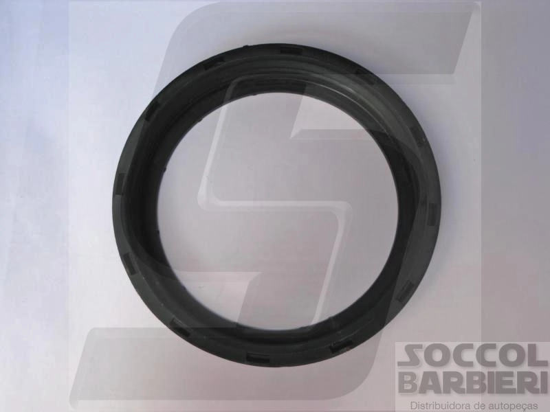 PORCA DO FLANGE RENAULT CLIO/KANGOO/TWINGO/LAGUNA - TANQUE PLASTICO