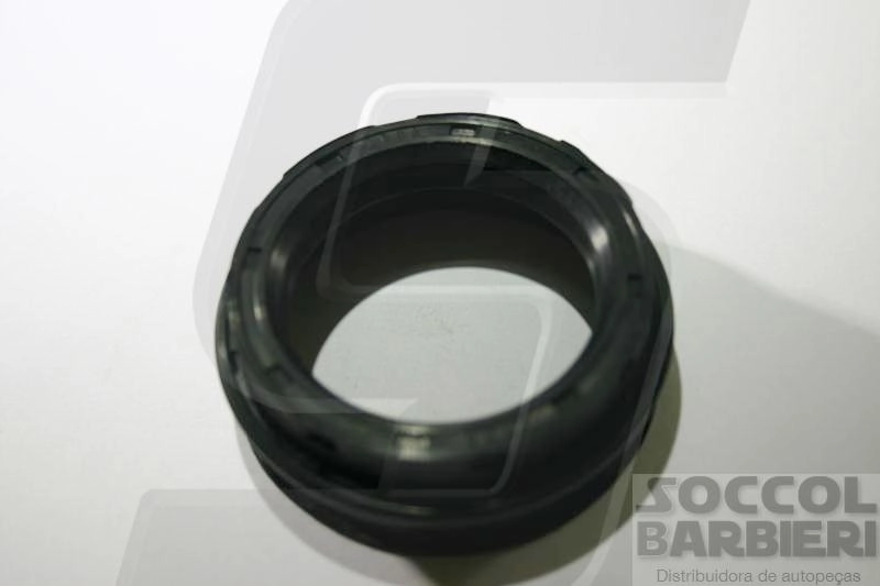 RETENTOR EXTERNO CUBO RODA TRASEIRA TOYOTA HILUX 2.8 - 48X62X9X24MM