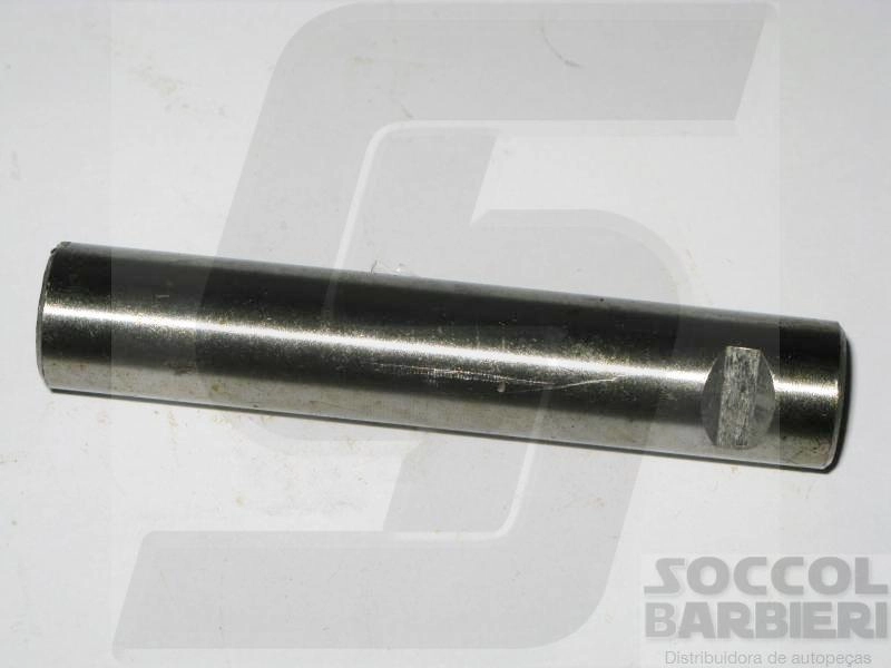 PINO MOLA FORD F-100 /67 - TRASEIRO