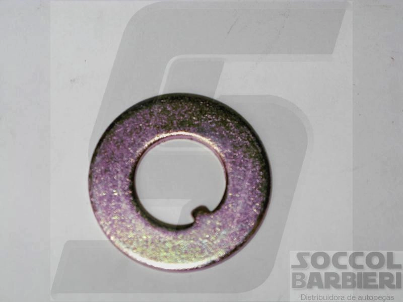 ARRUELA LISA MANGA EIXO DIANTEIRA FORD F-100/1000 /92 - GM A/C/D 10/20 /92 - WILLYS 4X2 TODOS