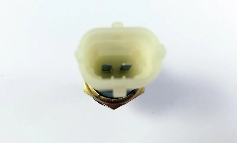 PLUG ELETRONICO GM CORSA 94/96 KADETT/IPANEMA /97 OMEGA 05/07 VECTRA 97/04 TIGRA /99