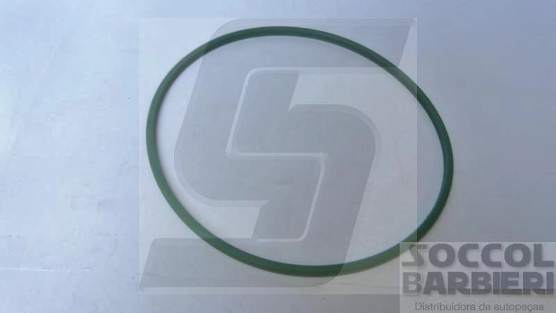 GUARNICAO BOMBA INJECAO ELETRONICA PEUGEOT 307 - FLEX