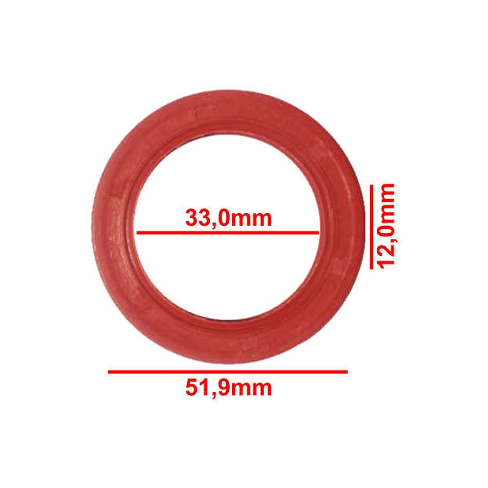 RETENTOR RODA GM CHEVETTE/CHEVY - BRASEIXOS - TRASEIRA